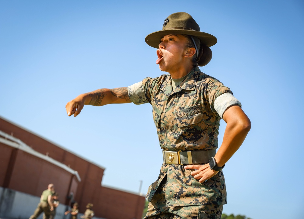 Delta Company Incentive Training