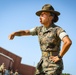 Delta Company Incentive Training