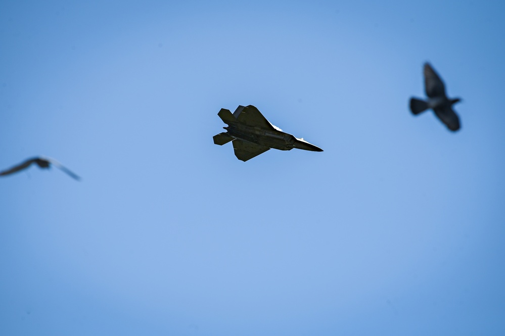 Air Dominance Center showcases F-22 Raptor over Tybee Island Beach during William Tell 2023