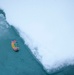 U.S. Coast Guard Cutter Healy conducts science mission