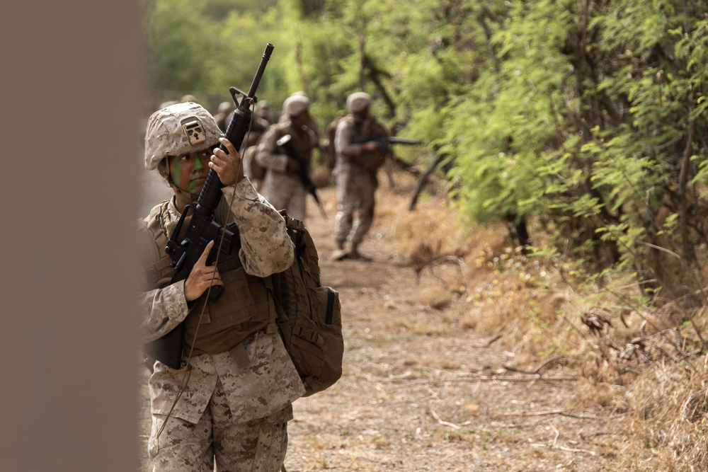 Forging Leadership and Precision: MCAS Kaneohe Bay Corporals Course 3-23 Land Navigation and Patrolling Exercise