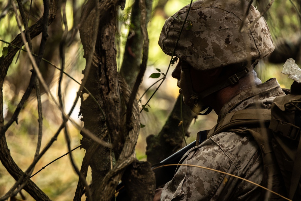 Forging Leadership and Precision: MCAS Kaneohe Bay Corporals Course 3-23 Land Navigation and Patrolling Exercise