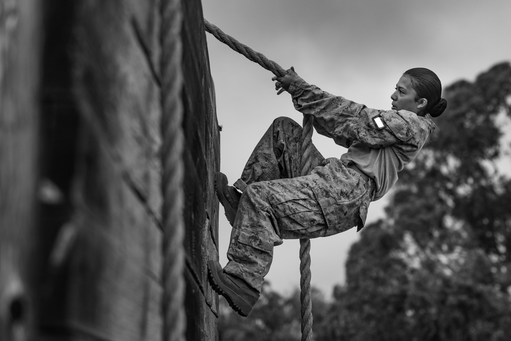 Golf Company Confidence Course