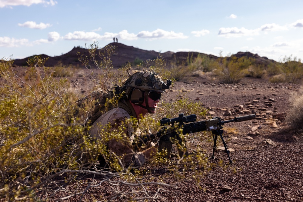 BLT 1/5 Conducts Squad Maneuvers During RUT