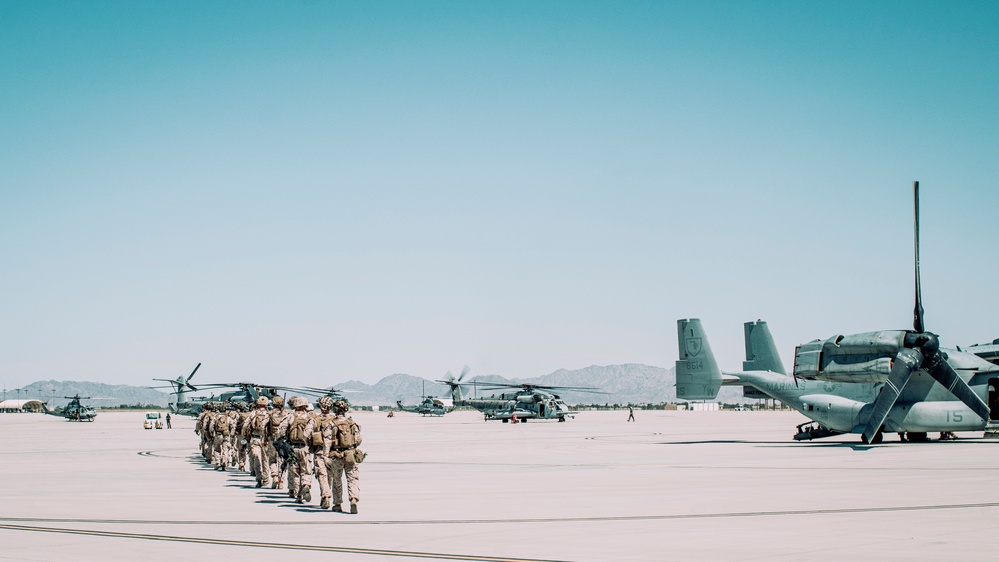 Charlie Company, BLT 1/5 Completes TRAP Exercise During RUT