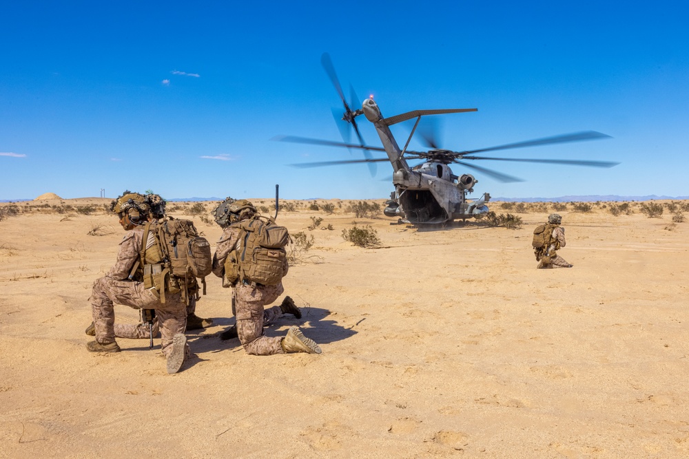 Charlie Company, BLT 1/5 Completes TRAP Exercise During RUT