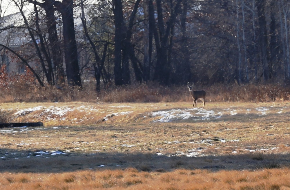 2023 archery deer season underway; Fort McCoy hunters must make sure to have necessary permits, licenses