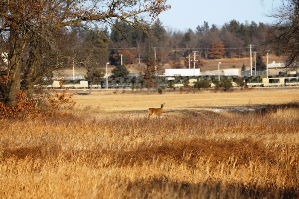 2023 archery deer season underway; Fort McCoy hunters must make sure to have necessary permits, licenses