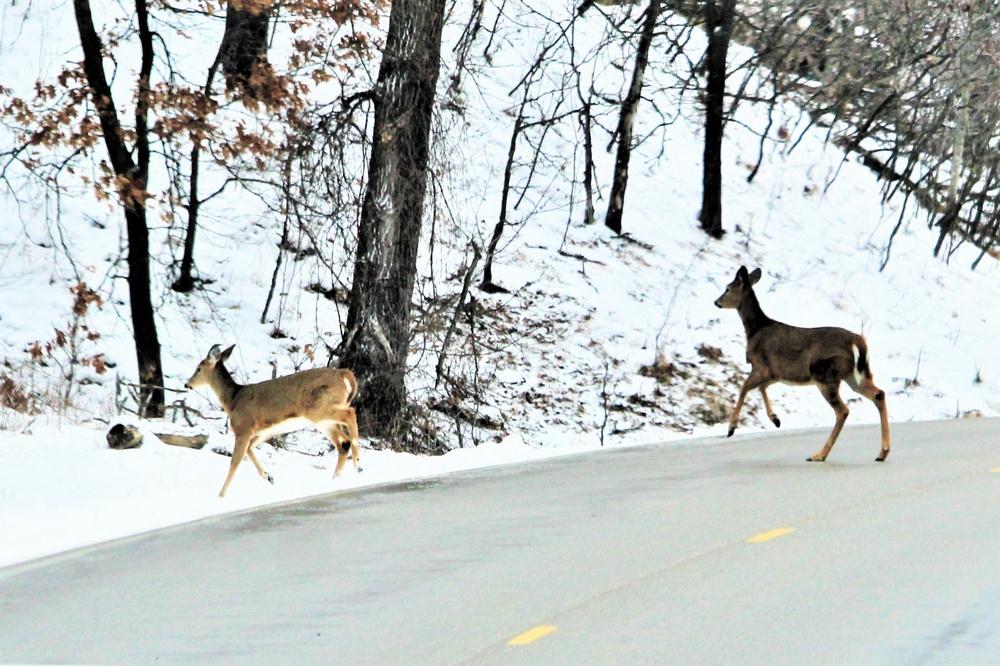 2023 archery deer season underway; Fort McCoy hunters must make sure to have necessary permits, licenses