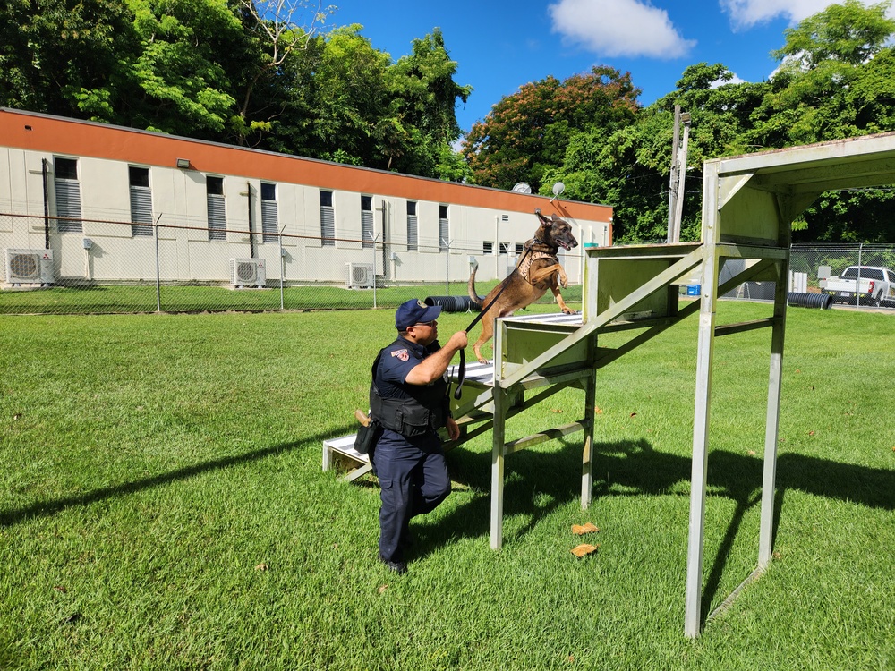 Fort Buchanan K9 team certification: clear indicator of readiness