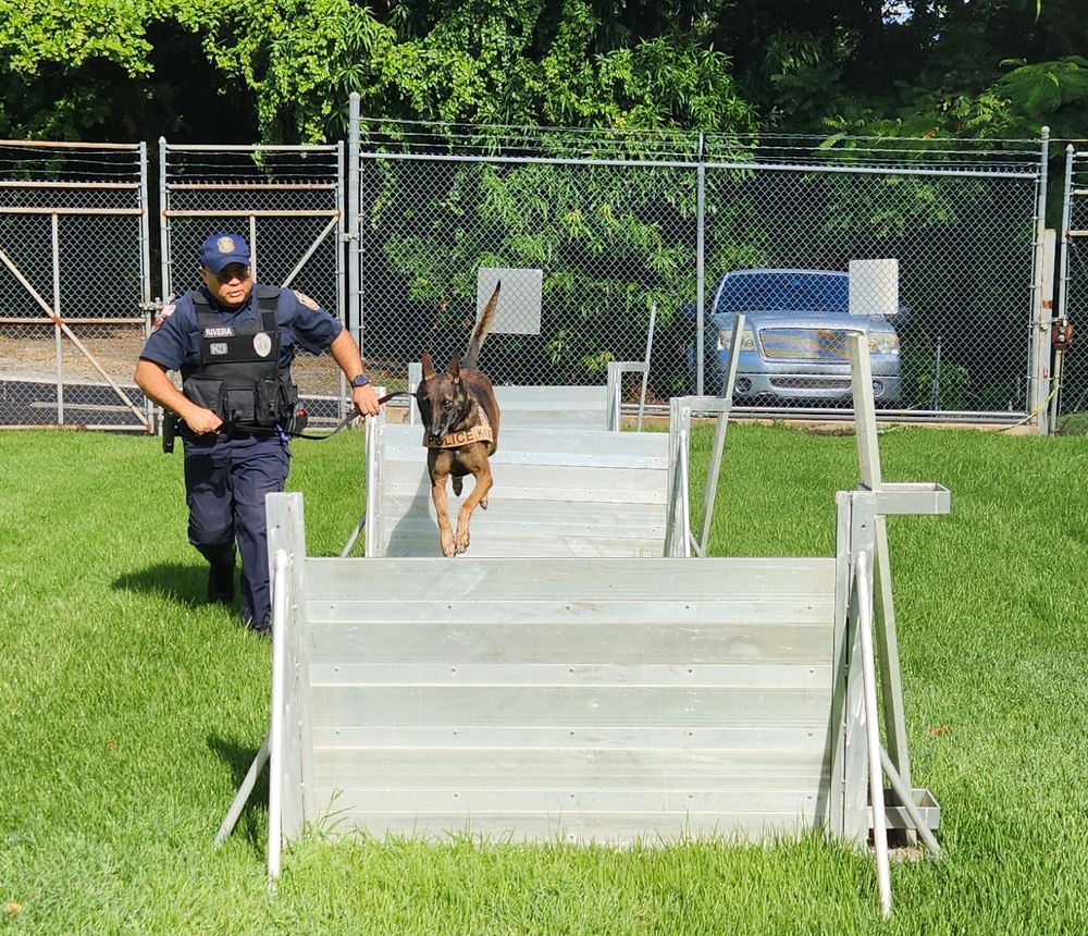 Fort Buchanan K9 team certification: clear indicator of readiness