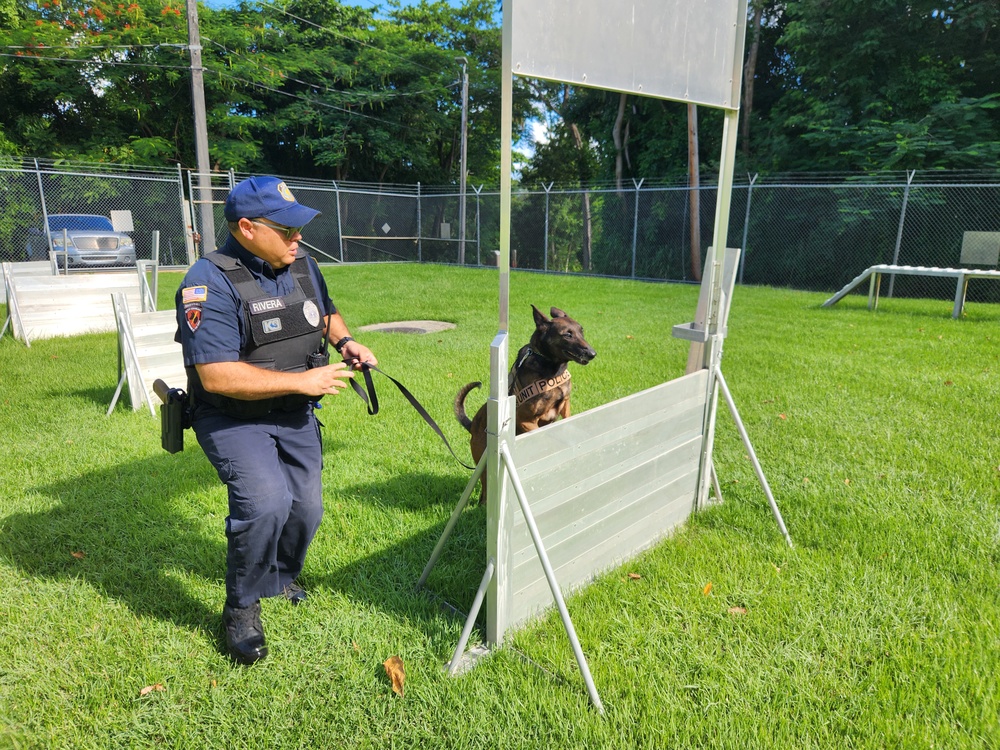 Fort Buchanan K9 team certification: clear indicator of readiness