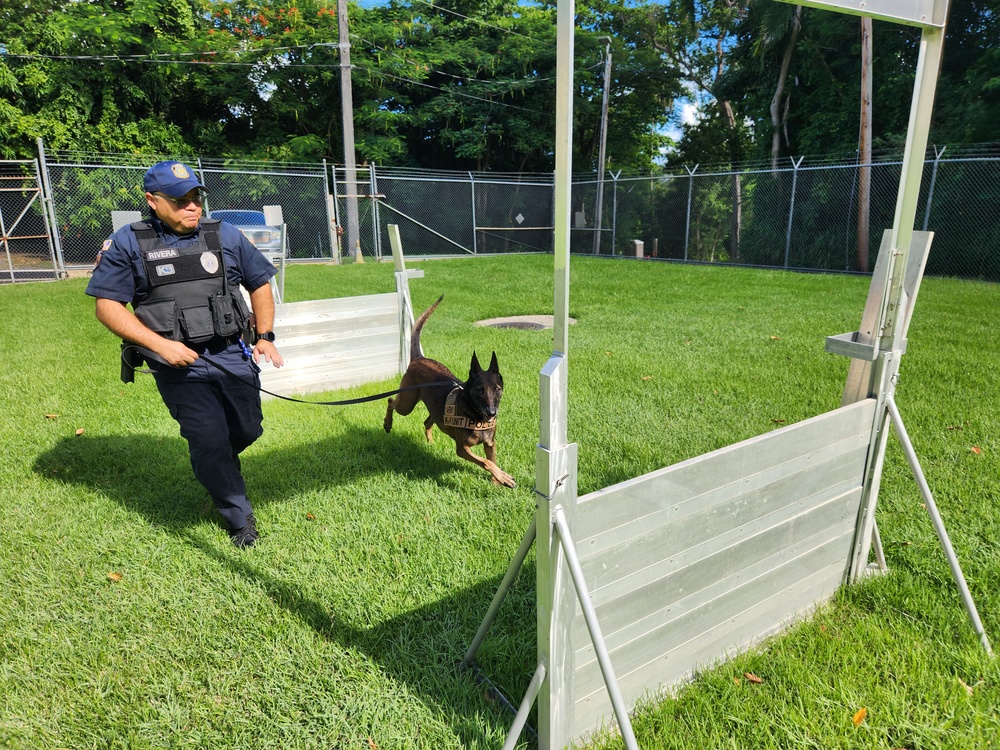 Fort Buchanan K9 team certification: clear indicator of readiness