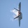William Tell 2023 F-22 Raptor Demonstration William Tell 2023 F-22 Raptor Demonstration