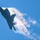 William Tell 2023 F-22 Raptor Demonstration William Tell 2023 F-22 Raptor Demonstration