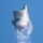 William Tell 2023 F-22 Raptor Demonstration William Tell 2023 F-22 Raptor Demonstration