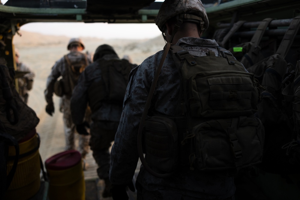 Marines with 3rd Assault Amphibian Bn. participate in combined arms live fire exercise during Bright Star 23.