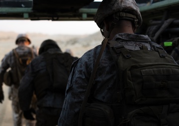 Marines with 3rd Assault Amphibian Bn. participate in combined arms live fire exercise during Bright Star 23.