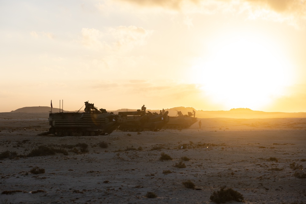 Marines with 3rd Assault Amphibian Bn. participate in combined arms live fire exercise during Bright Star 23.