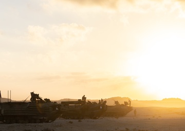 Marines with 3rd Assault Amphibian Bn. participate in combined arms live fire exercise during Bright Star 23.
