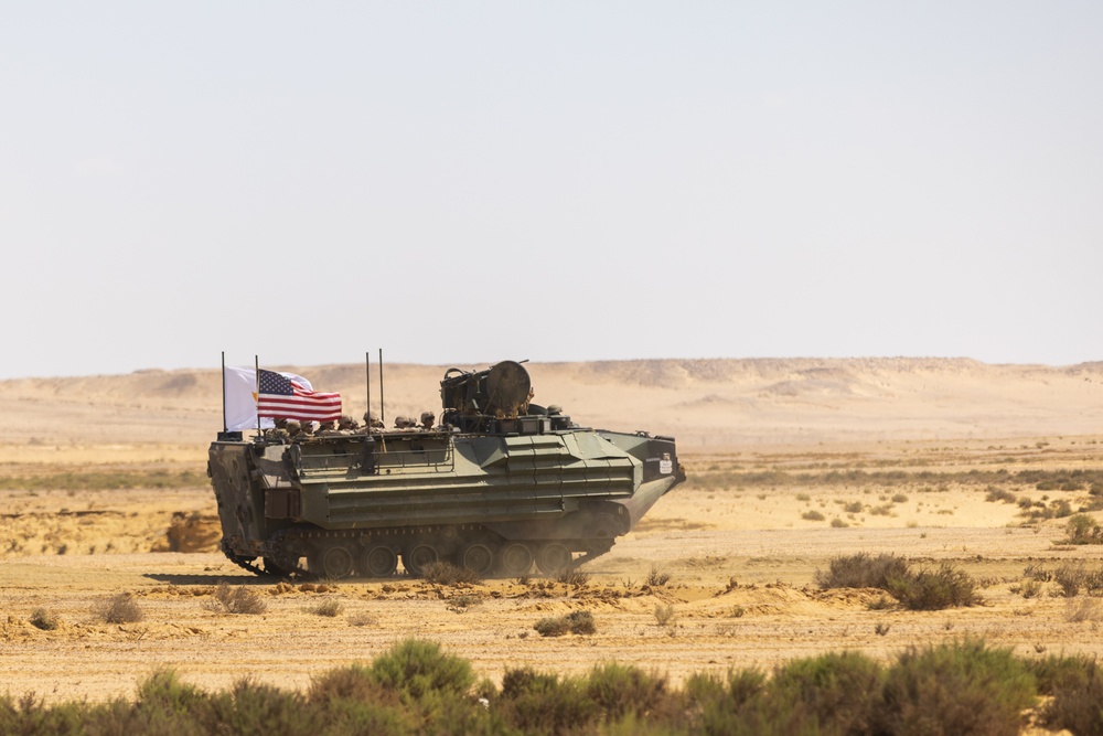 Marines with 3rd Assault Amphibian Bn. participate in combined arms live fire exercise during Bright Star 23.