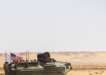 Marines with 3rd Assault Amphibian Bn. participate in combined arms live fire exercise during Bright Star 23.