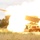 Missiles cut through the sky in HIMARS display in Japan
