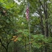 10th Mountain Division explores War of 1812 battle, with focus on military leadership, battlefield tactics