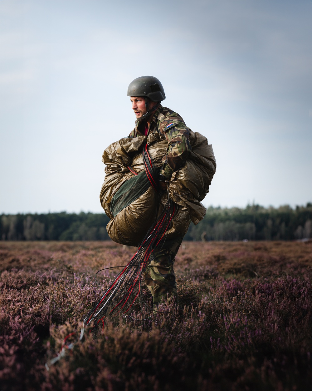 173rd Airborne Brigade Paratroopers Commemorate Operation Market Garden 79th Anniversary Alongside Allied Paratroopers