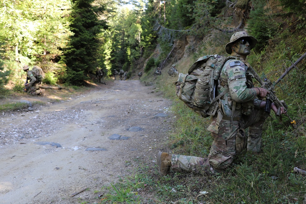 Combined Training Exercise Rhodope 23