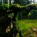 Task Force Marne sharpshooter teams conduct sniper field craft during Silver Arrow
