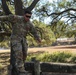 MEDCoE Best Medic