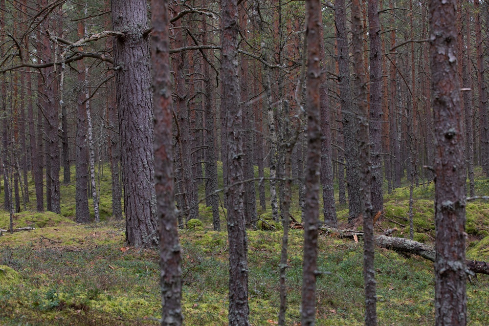 Task Force Marne sharpshooter teams conduct sniper field craft during Silver Arrow exercise