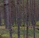 Task Force Marne sharpshooter teams conduct sniper field craft during Silver Arrow exercise