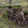 Task Force Marne sharpshooter teams conduct sniper field craft during Silver Arrow exercise