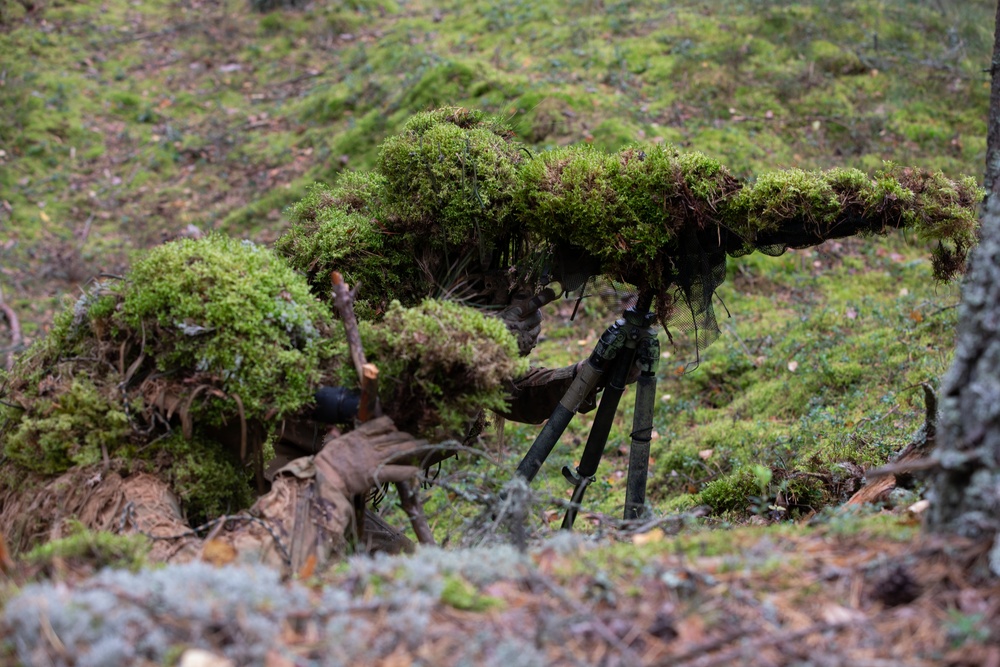 Task Force Marne sharpshooter teams conduct sniper field craft during Silver Arrow exercise