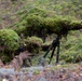 Task Force Marne sharpshooter teams conduct sniper field craft during Silver Arrow exercise