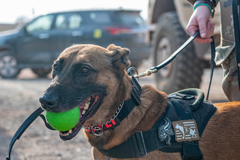 776 EABS, Task Force - Tomahawk, conduct mass casualty exercise