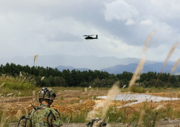 Orient Shield 23 FTX