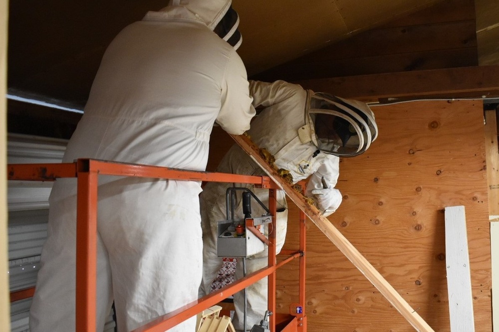 JBLM honeybee hobbyist brings new home to bees, new hope to veterans