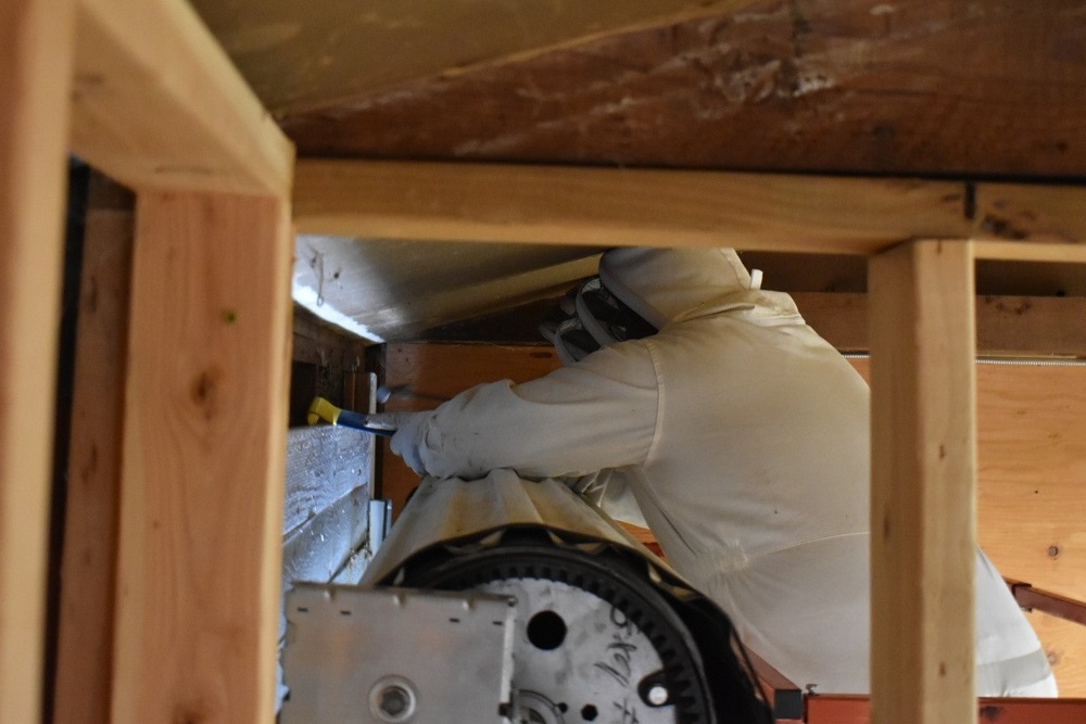 JBLM honeybee hobbyist brings new home to bees, new hope to veterans