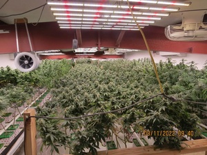 Air Force Radio News 22 November 2019