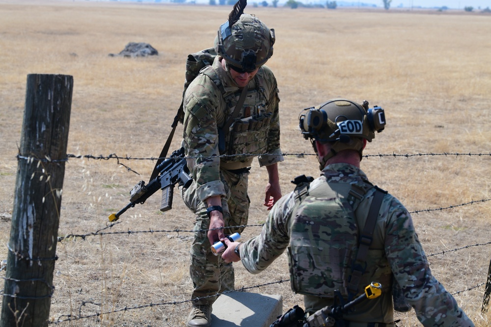 EOD Training