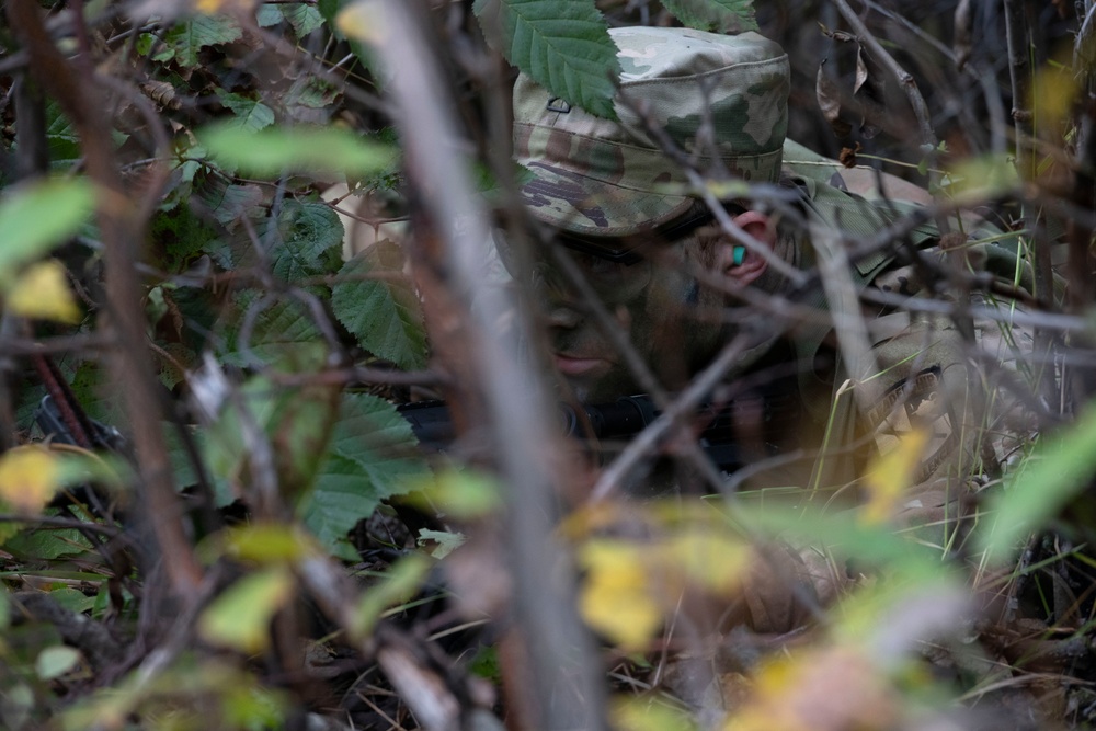 University Alaska Army ROTC cadets develop soldiering skills during Operation Resolute Phoenix