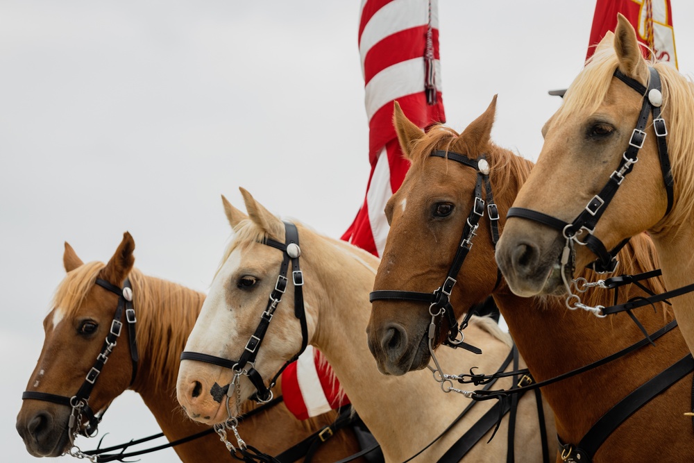 America's Airshow 2023: U.S. Marine Corps Mounted Color Guard