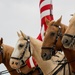 America's Airshow 2023: U.S. Marine Corps Mounted Color Guard