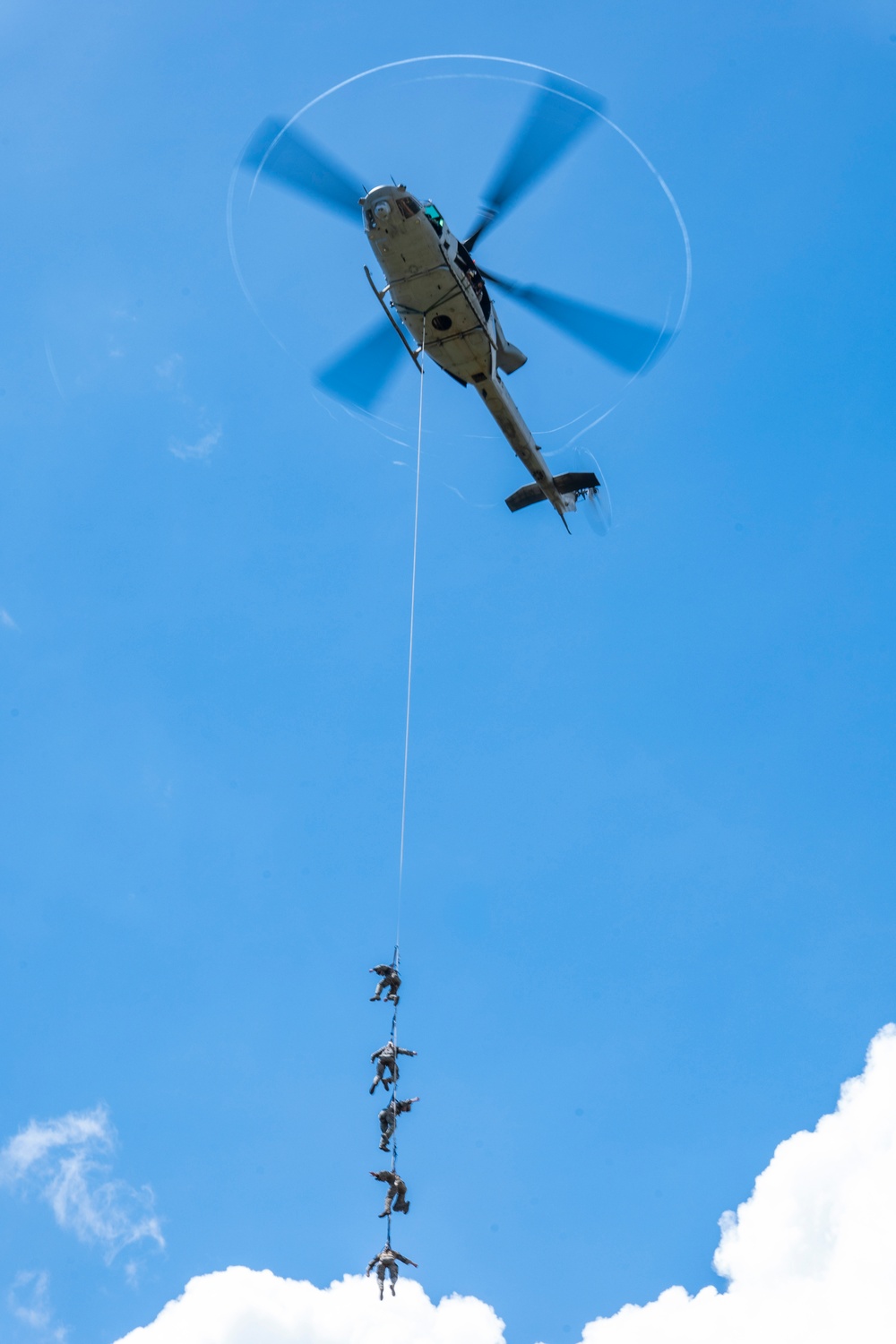 HMLA-169 | SPIE Rigging, Fast Rope, and Rappel Training