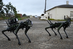 Robot dogs bring the bark to Barksdale