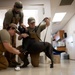 Caring hands and canine heroes