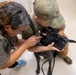 Caring hands and canine heroes